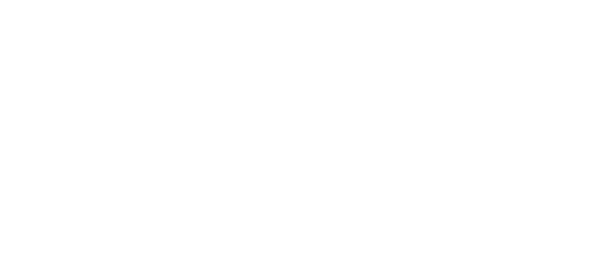14. Red Acceso